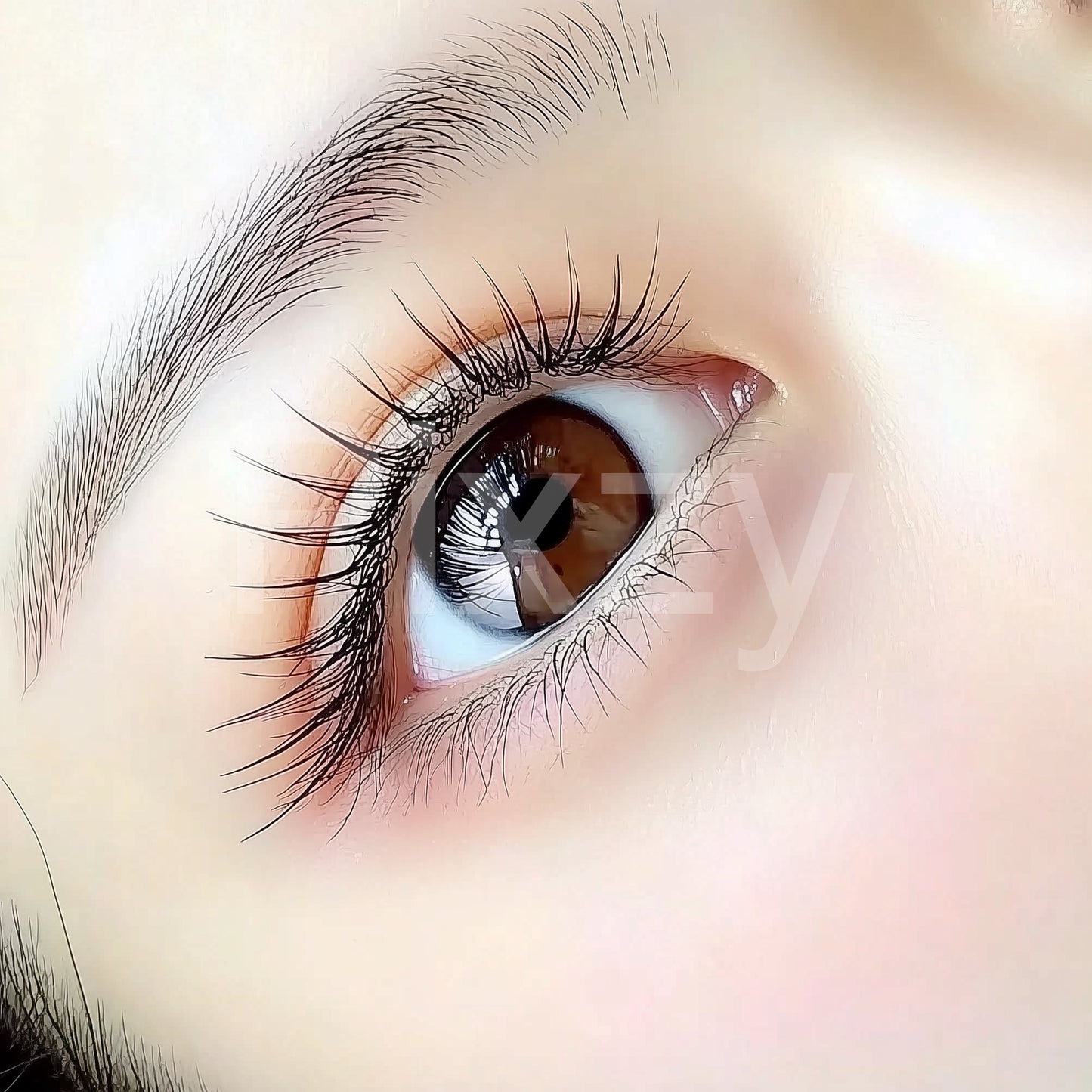 サロン 美容 肌質管理 毛穴 エステ 薄毛 リラクゼーション スパ-ネイル まつ毛エクステ まつげパーマ 審美治療 87