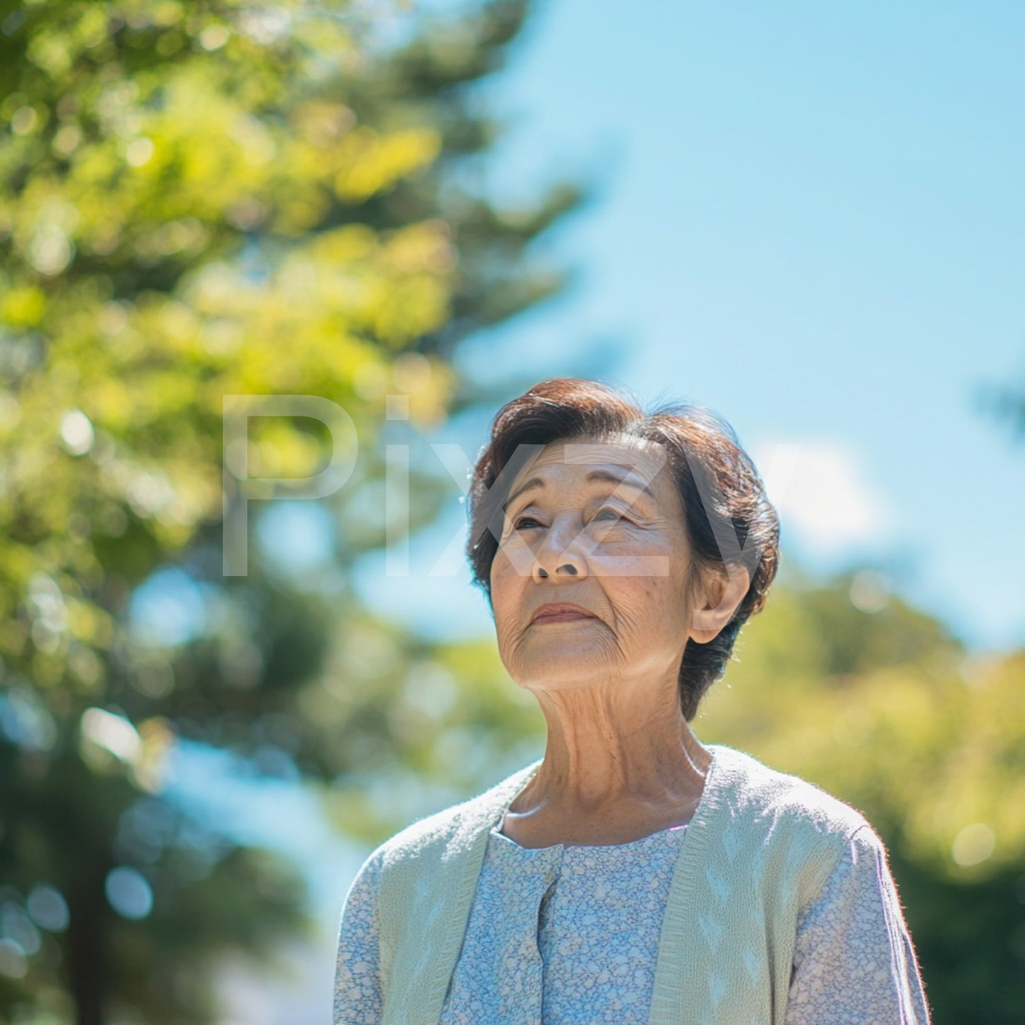 葬儀　終活　遺品整理        冠婚葬祭スタッフ　終活アドバイザー　財産・遺書　 46